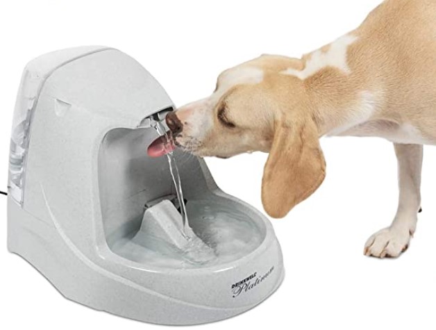 pet water fountain