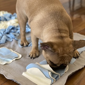 snuffle mat